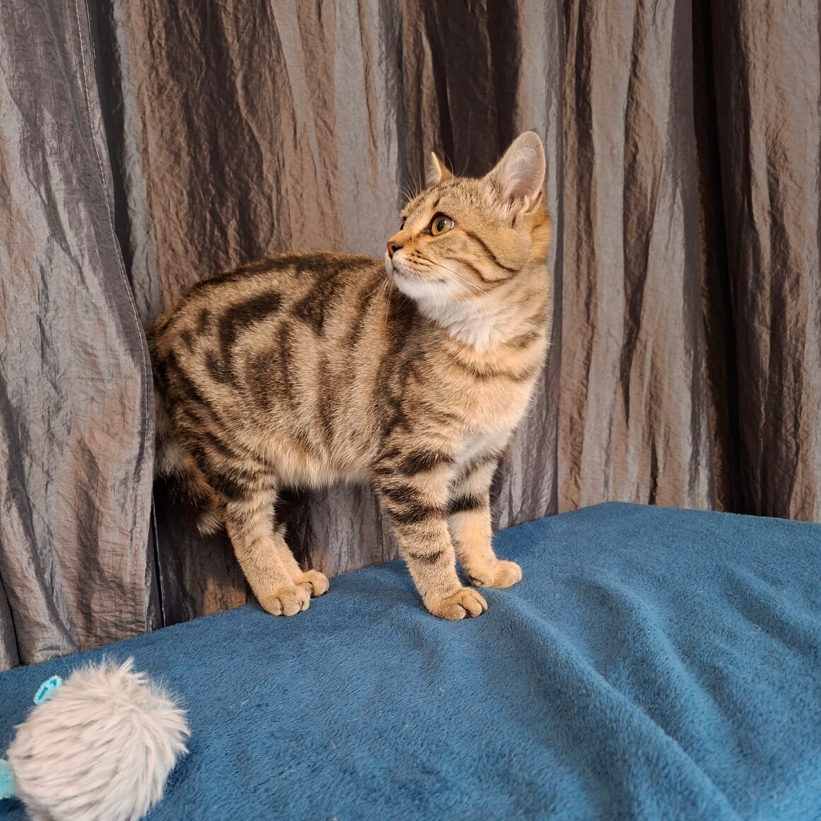 MINA4 MINA – junior réservée